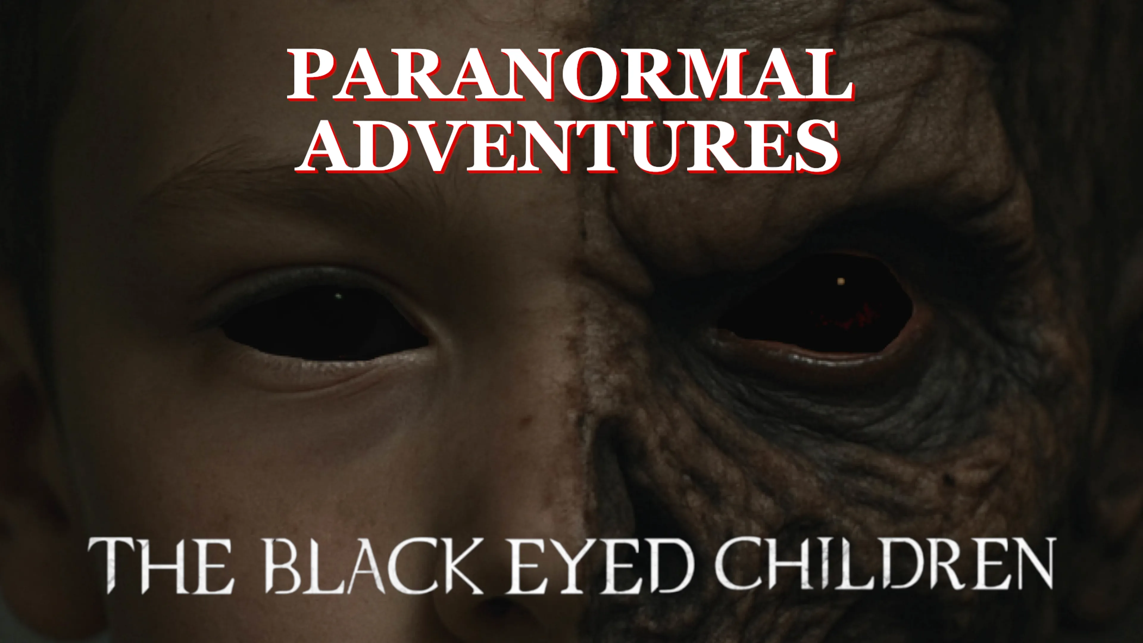 Paranormal Adventures 5: The Black Eyed Children poster